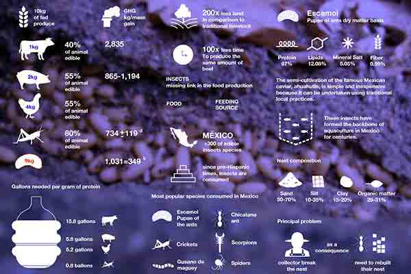 Graphic of world food production statistics