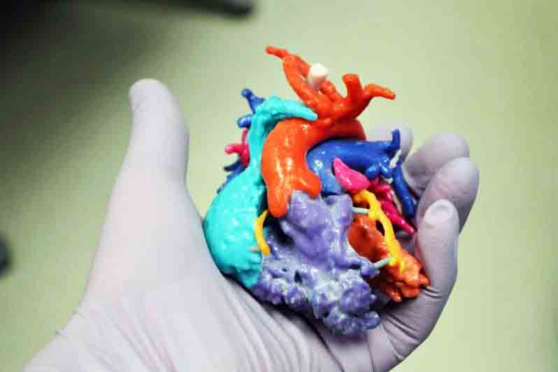 Cardiovascular heart model, Michigan CNC Machining Parts, Inc. blog